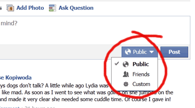 How to post a public update on Facebook