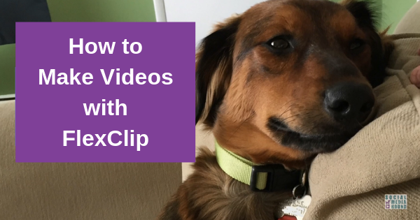 How to make videos with FlexClip – it’s EASY!