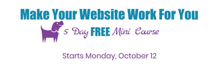 Make Your Website Work for You Mini Course