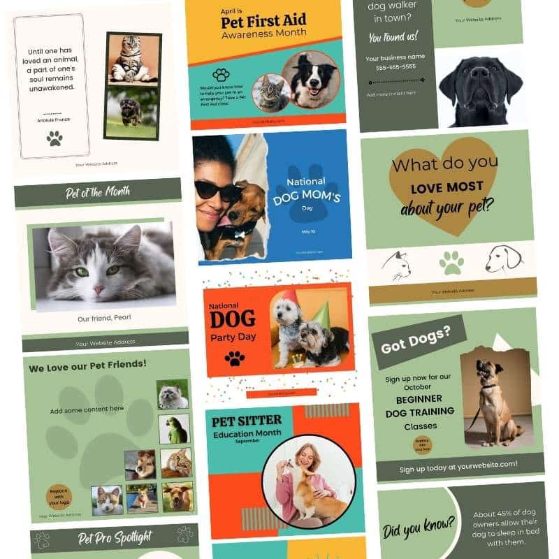 A graphic showing several different pet business social media templates.