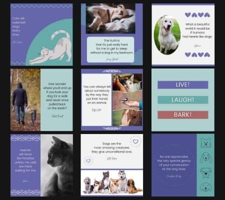 Canva animal quote templates for pet businesses.